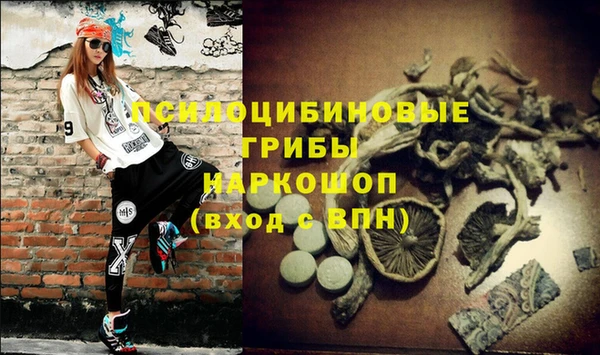 гашик Волосово