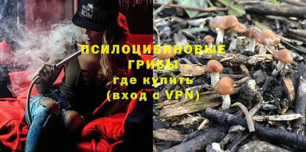 гашик Волосово