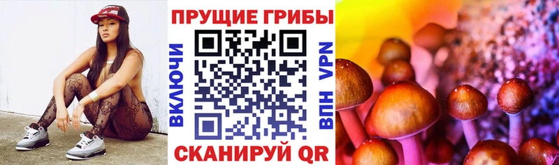 kraken онион  Партизанск  Галлюциногенные грибы Magic Shrooms 